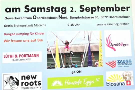 bild 4.jpg